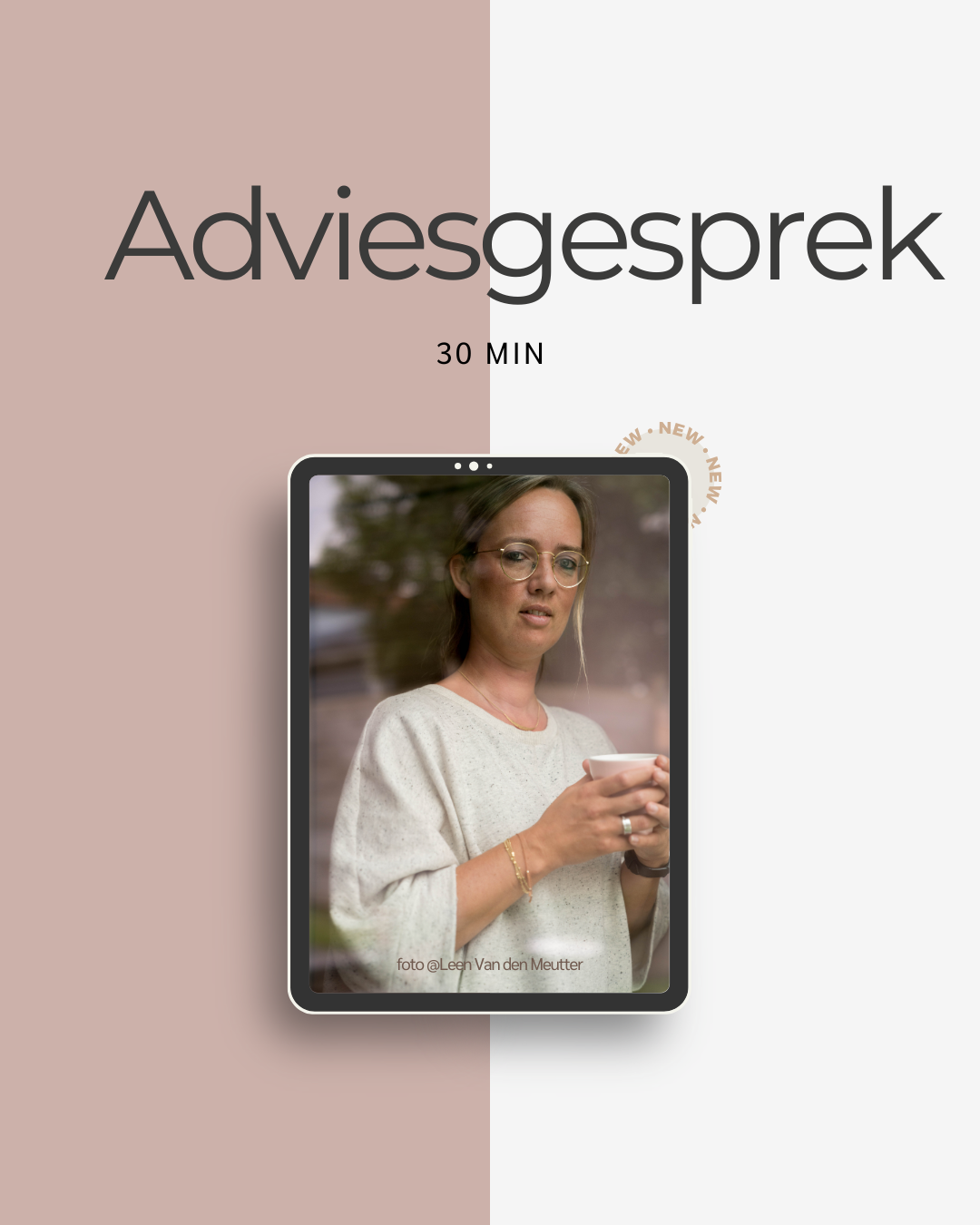 Adviesgesprek 30'